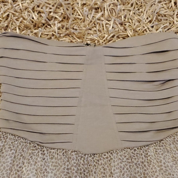 🐆 - Picture 3 of 6